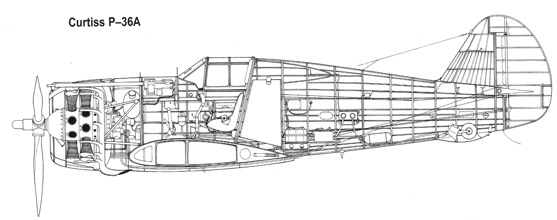 p36-cutaway